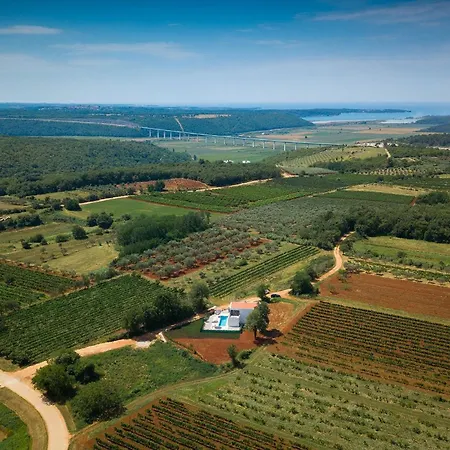 Libra Nova Vas (Brtonigla)