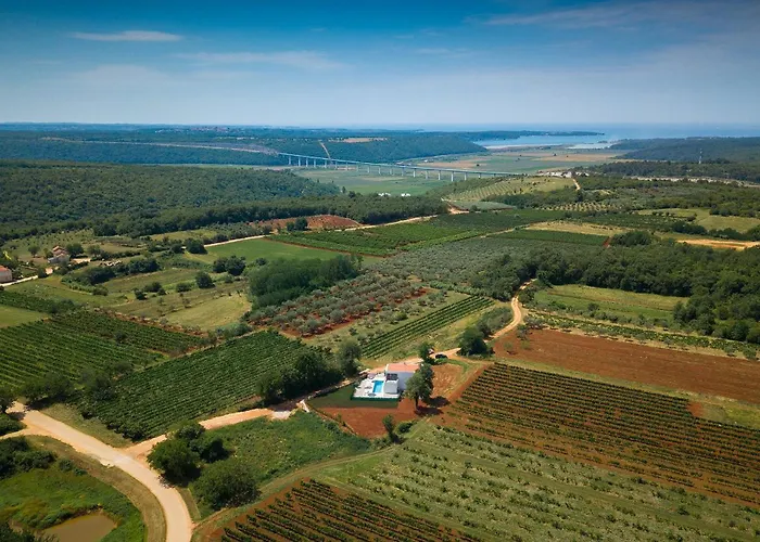 Libra Nova Vas (Brtonigla)